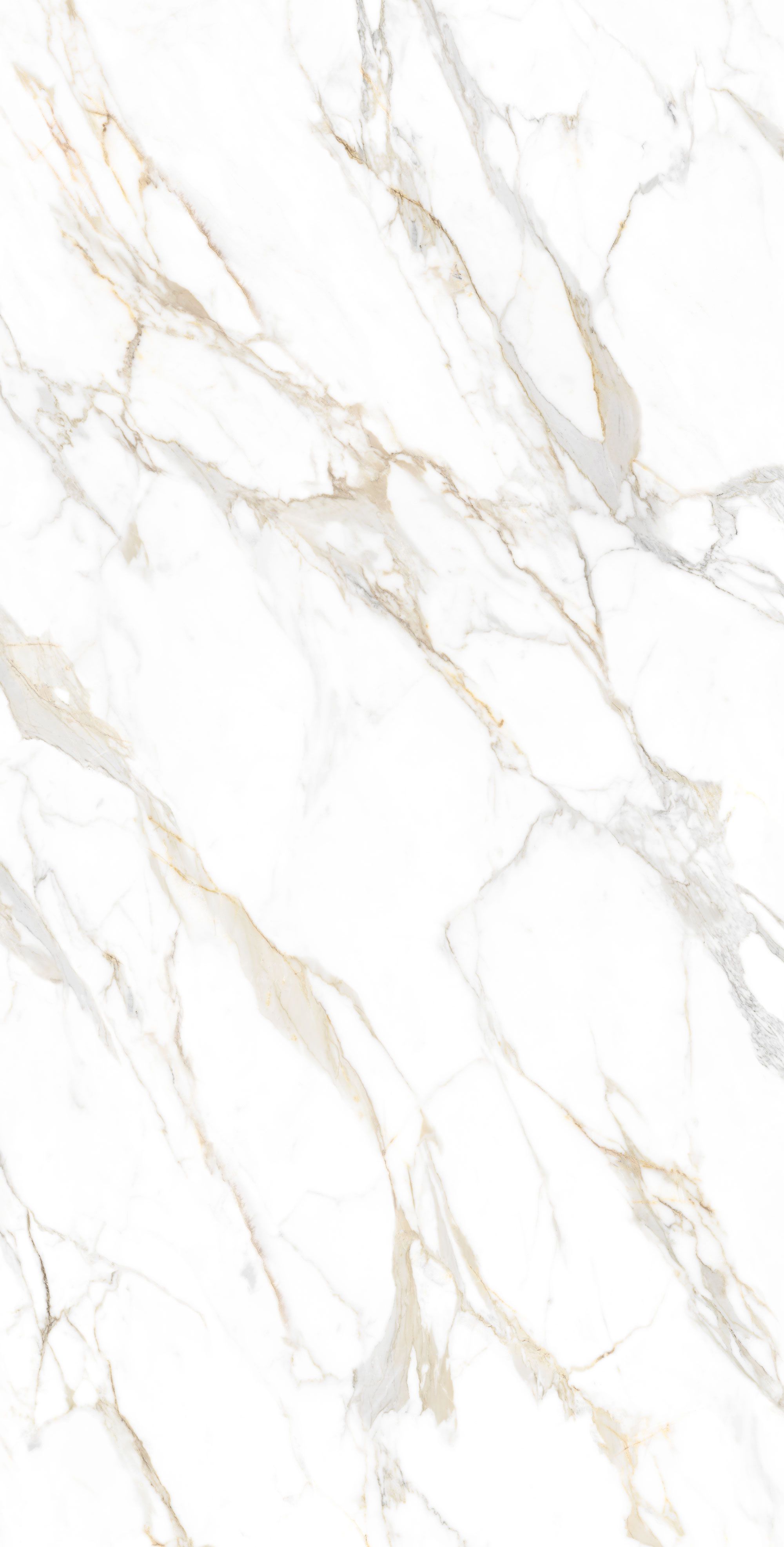 Calacatta Roma - The New Classtone
