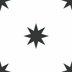 Black And White Orion