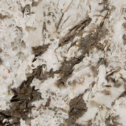 Bianco Antico Granite thumbnail 5