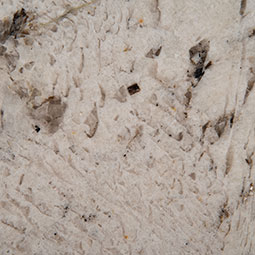 Gray Nuevo Granite thumbnail 4