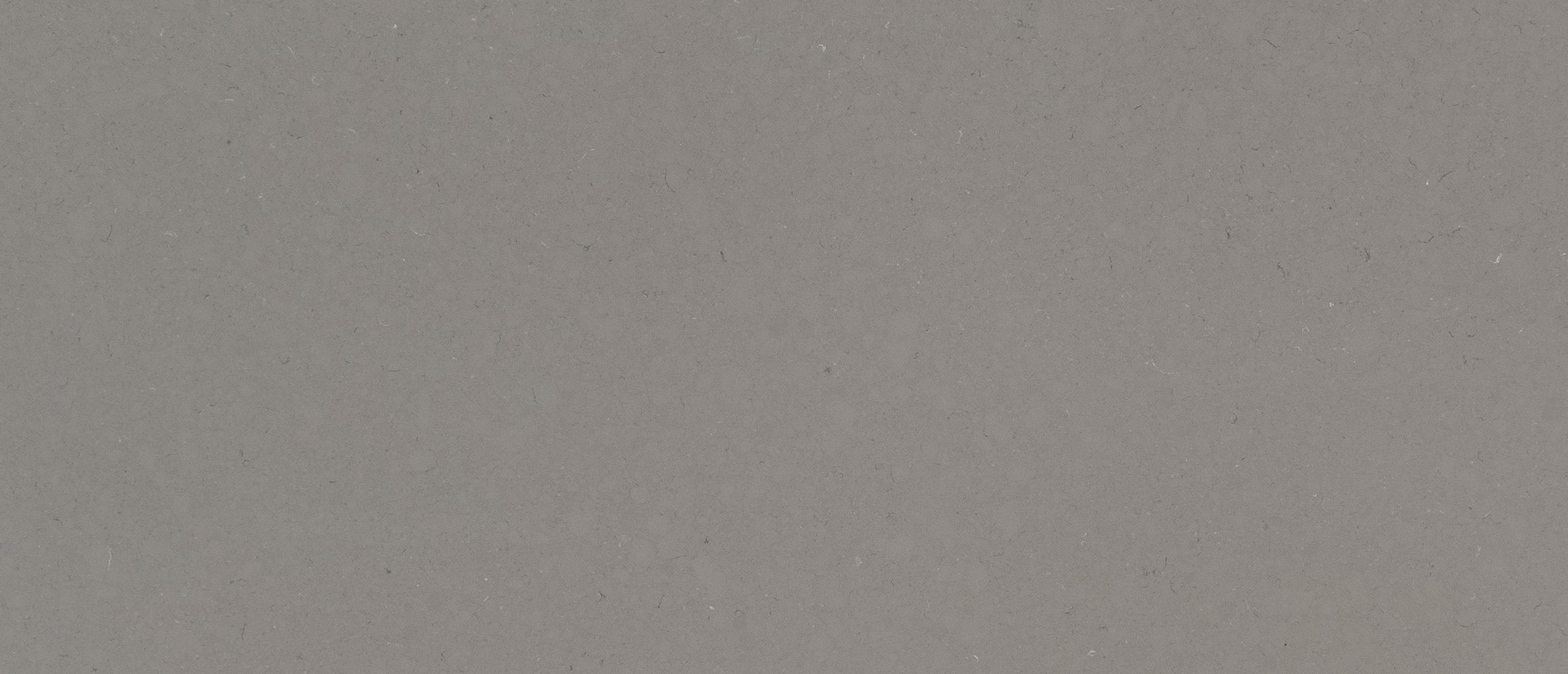 Fossil Gray ® thumbnail 4