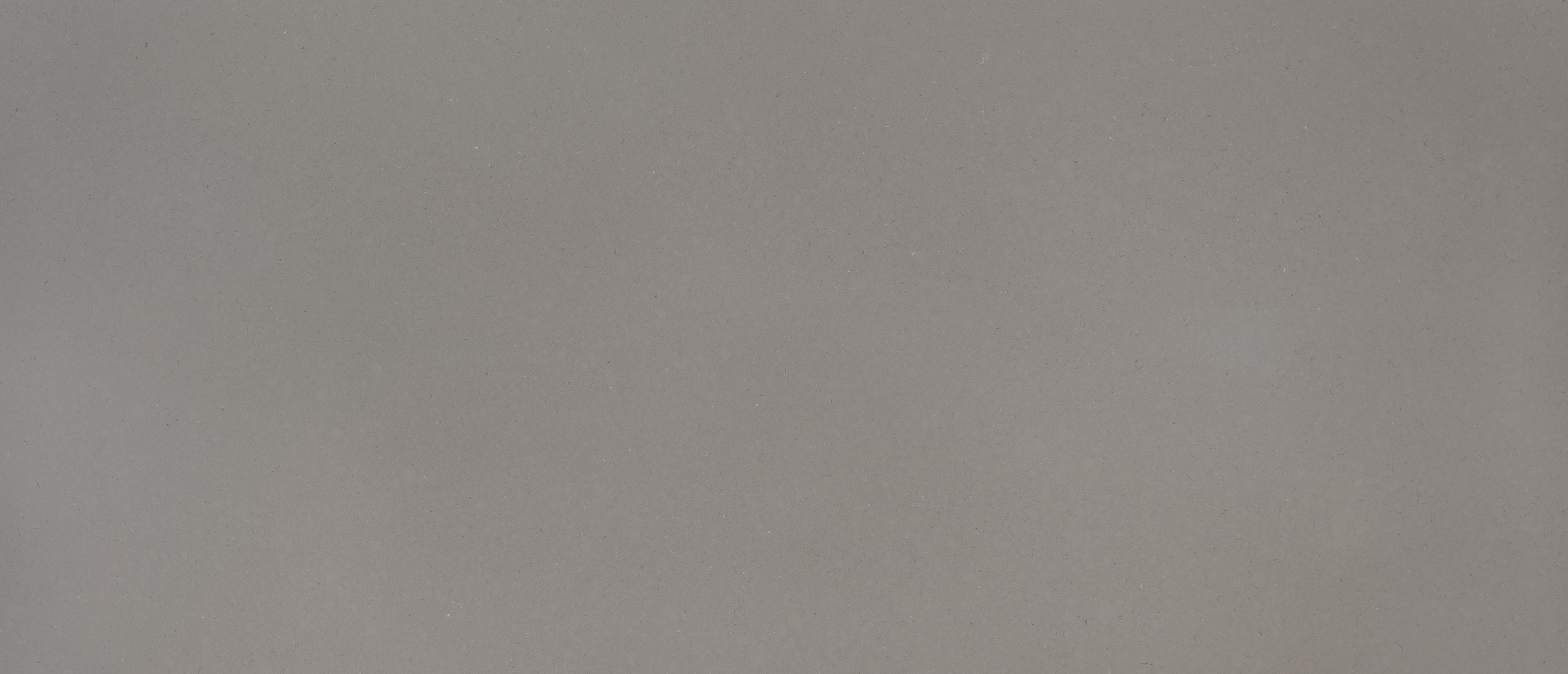 Fossil Gray ®