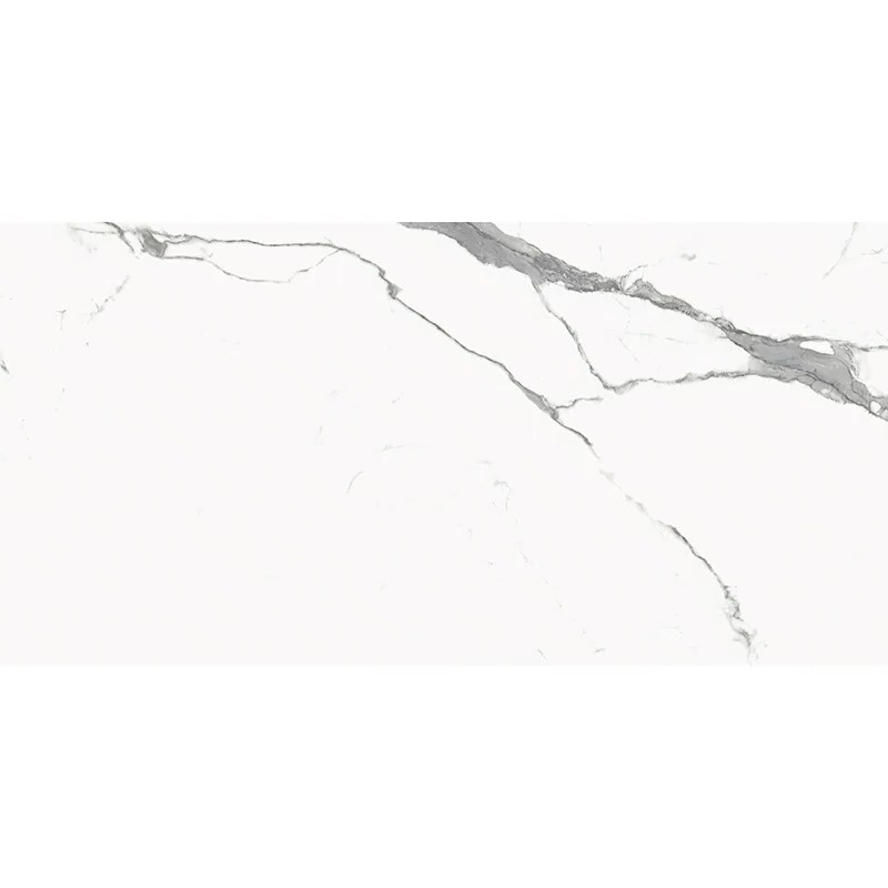CLASSICO STATUARIO 24X48