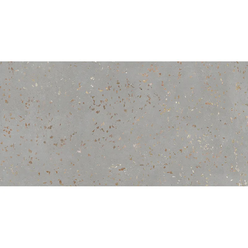 TERRA CEPPO 24X48 POLISHED