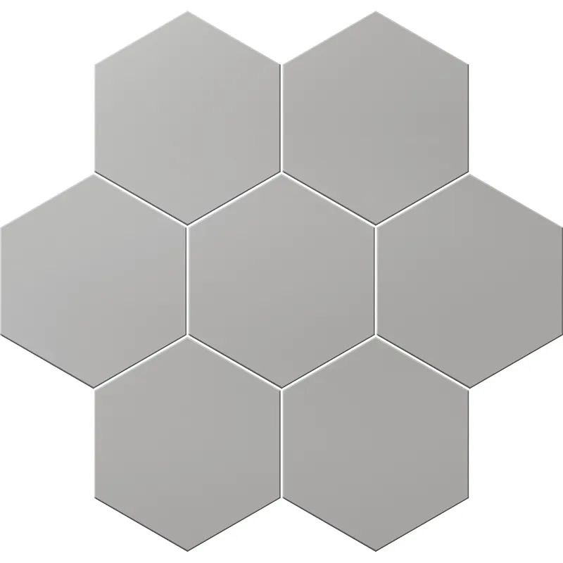 TERRA SILVER thumbnail 2