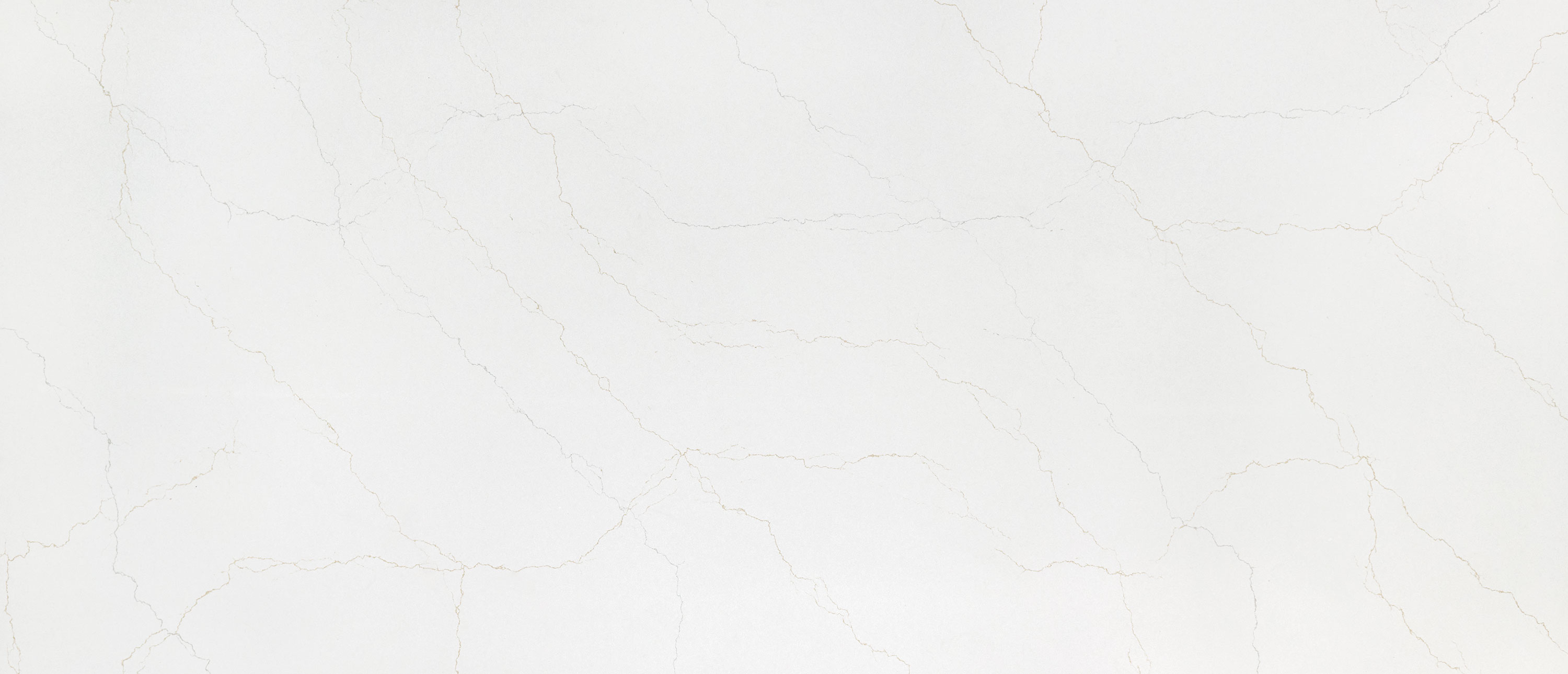 Calacatta Adonia ™ - Image 1