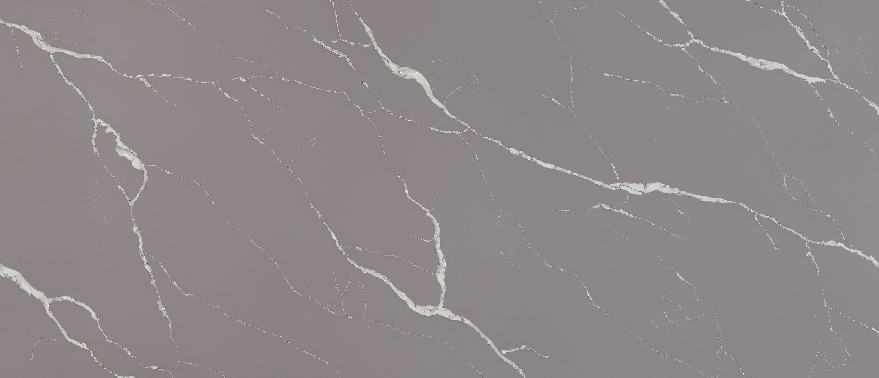 Calacatta Laza Grigio ® - Image 1