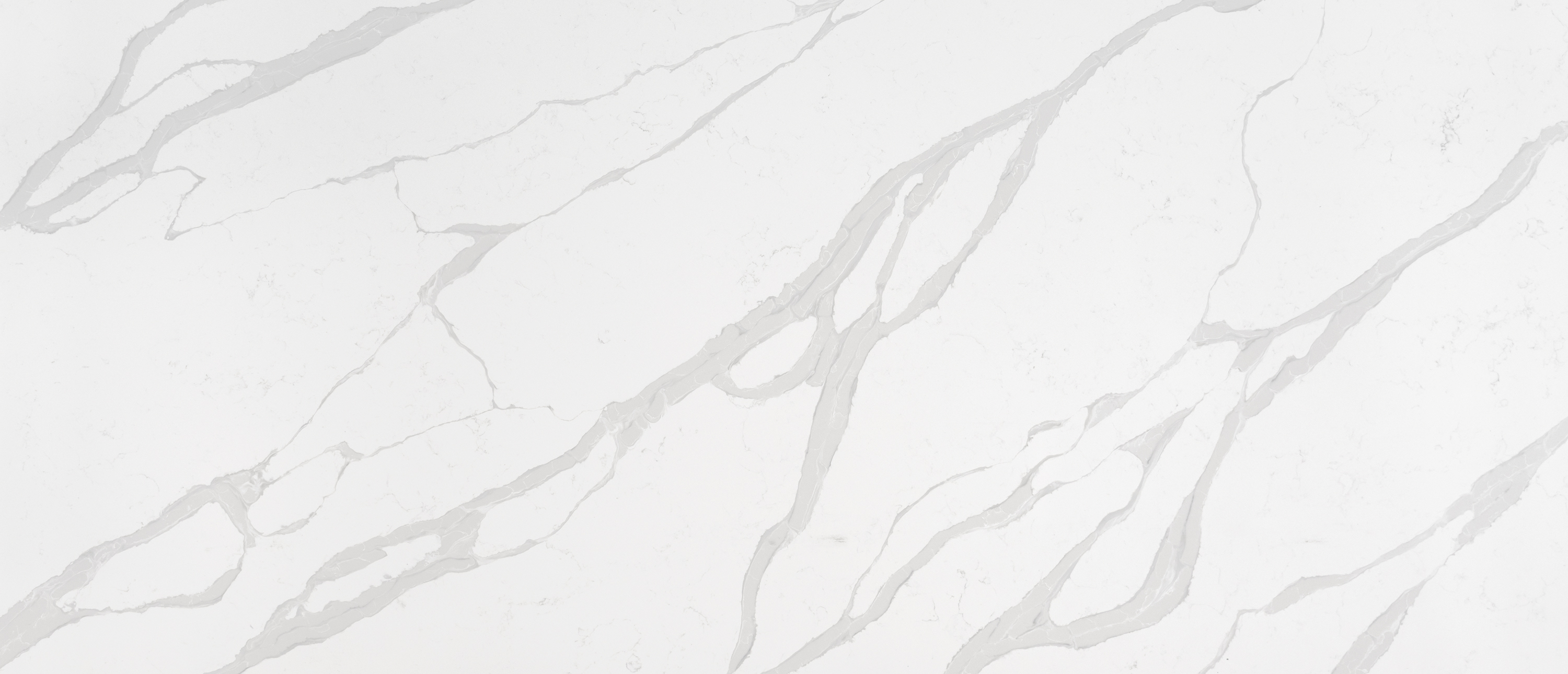 Calacatta Luccia ™ - Image 1