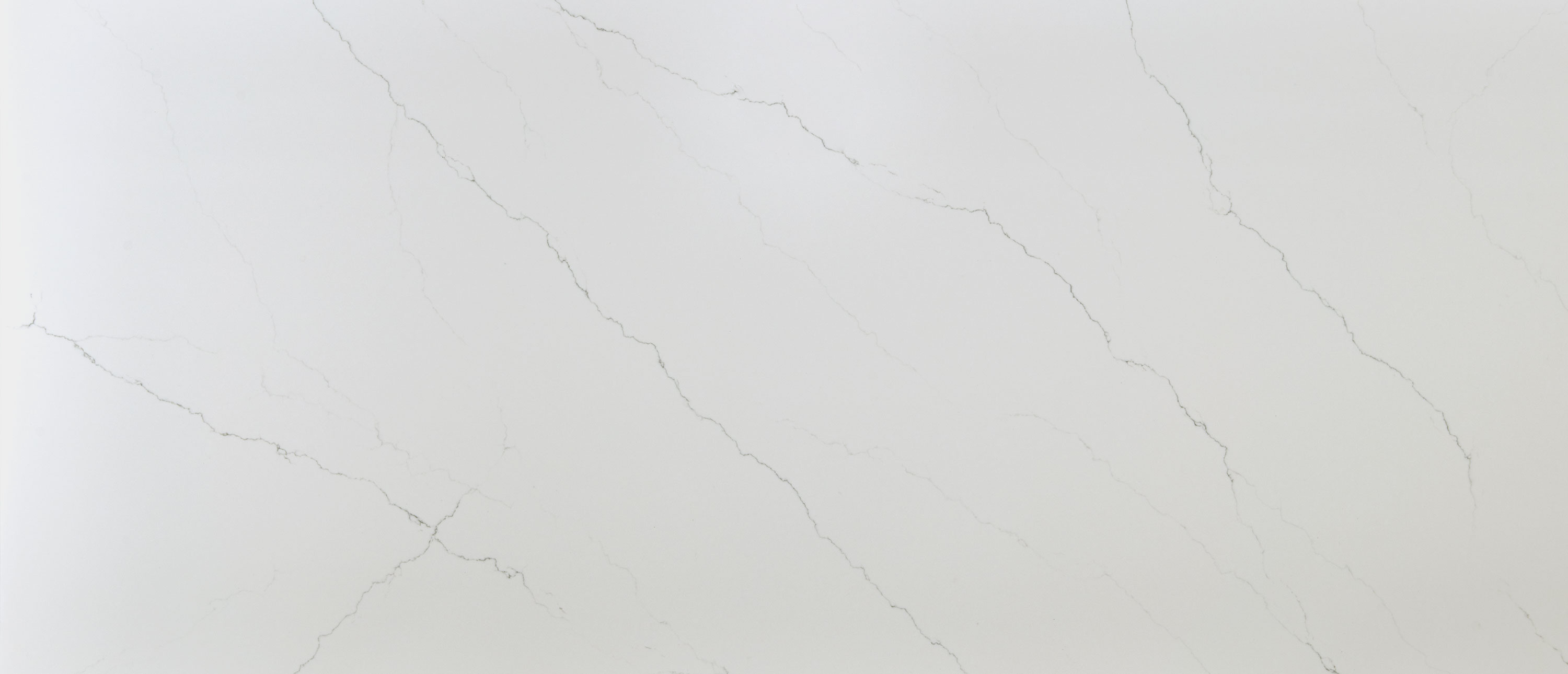 Calacatta Miraggio Honed ® - Image 1