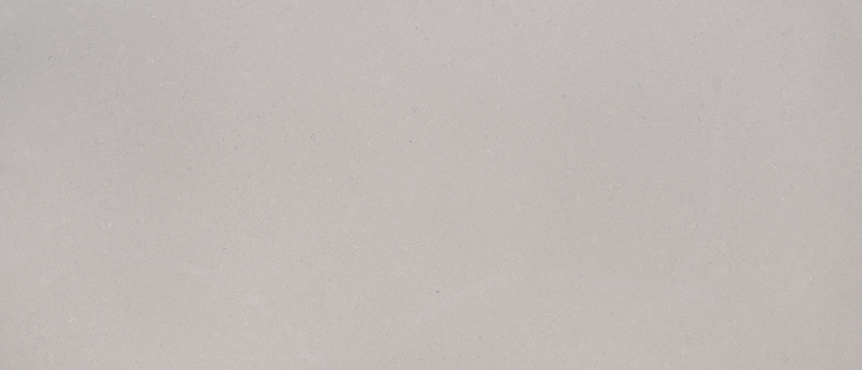 Fossil Gray ® - Matte Finish - Image 1