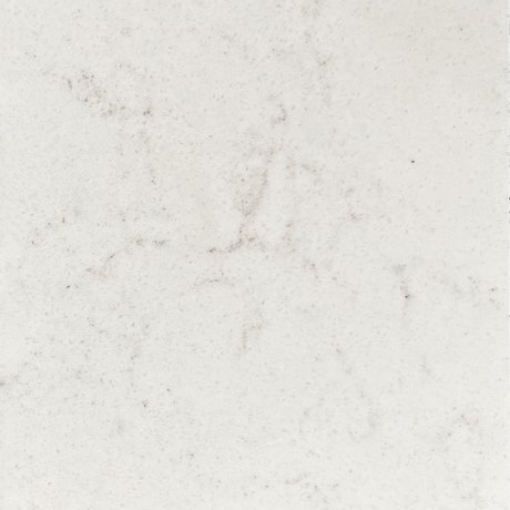 White Dove - Image 1