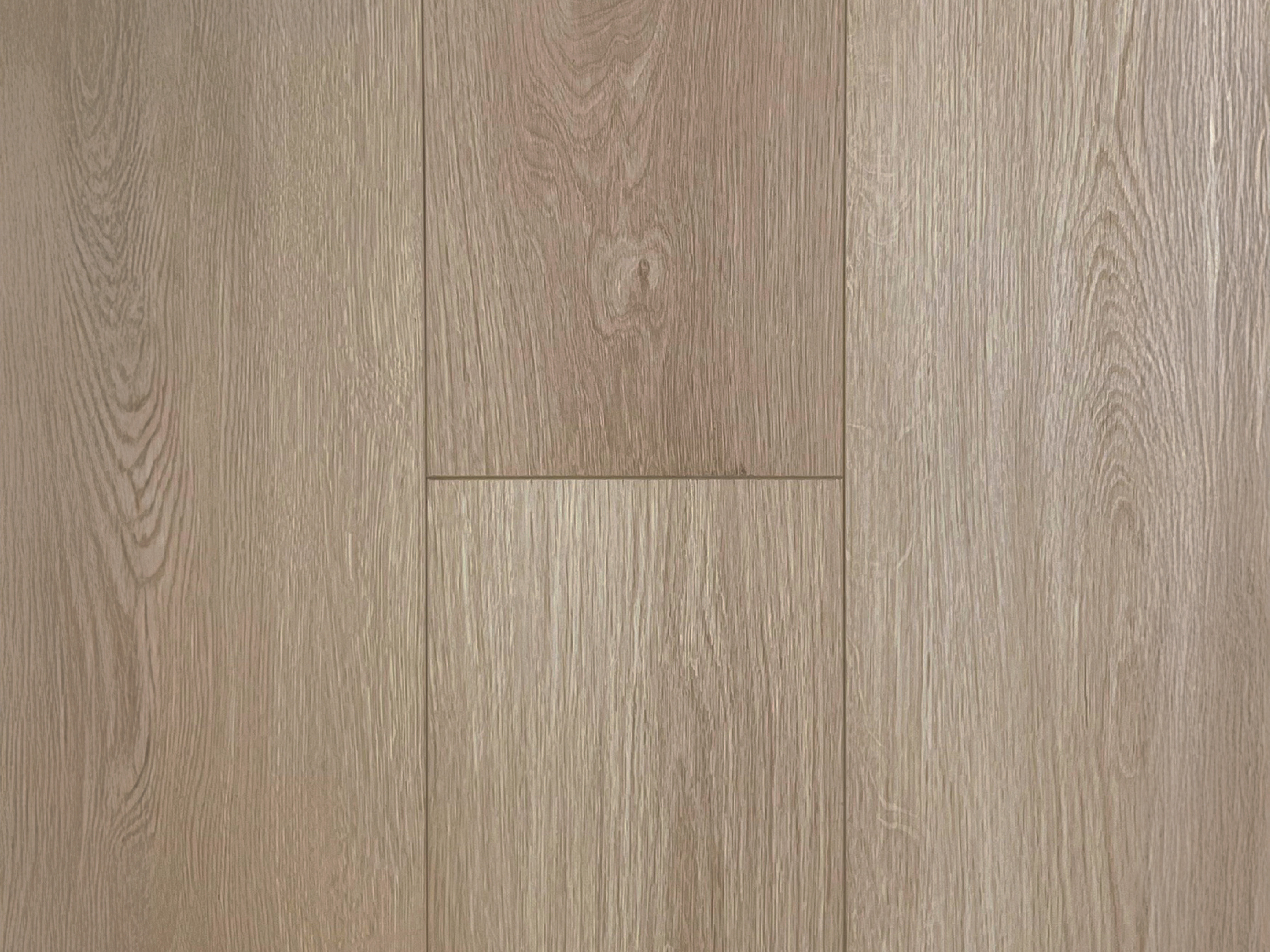 Fir - Image 1