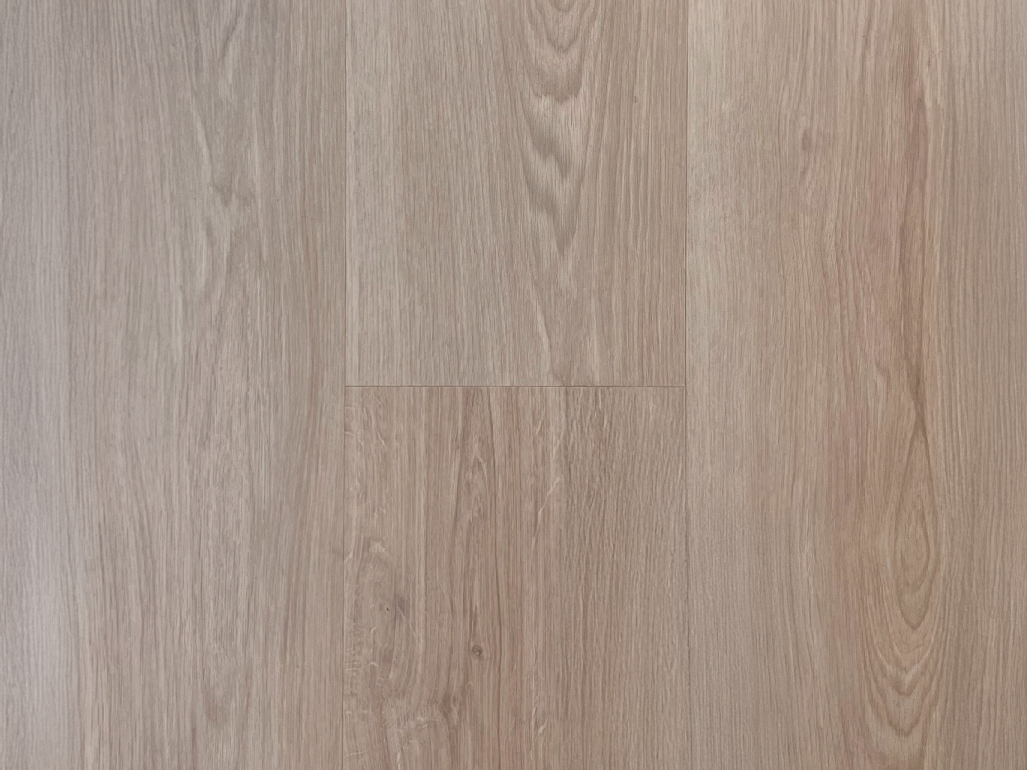 Cedar - Image 1