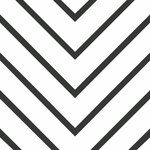 Black And White Strip - Image 1