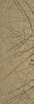 Reflet Midi Sketch - Image 1