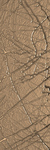 Reflet Aurore Sketch - Image 1