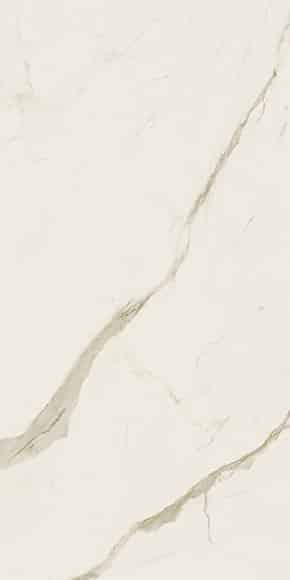 Calacatta Oro Venato Book Match - Image 1